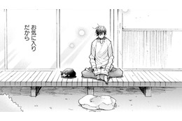 【猫視点】この場所は、いいおひるね場所もあるしごはんもくれるし、わりとお気に入りなんだからね【同居人はひざ、時々、頭のうえ。 #33】