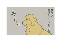 寝ぼけ顔は知的で、目が醒めるととぼけた顔に？愛犬のギャップがかわいい！【おさんぽですし！　おしゃべり犬とイライラ猫の日記 #５】