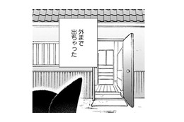 【猫視点】ヤツは消えたけど、今度は苦手な人間が来た！ に、逃げないと!! あれ？ここは外!?【同居人はひざ、時々、頭のうえ。 #43】