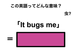 この英語ってどんな意味？「It bugs me」