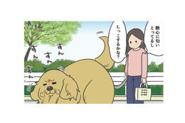 排水溝のすきまに吸い込まれた?! 恐るべし、愛犬の消えたしっこ事件…【おさんぽですし！　おしゃべり犬とイライラ猫の日記 #15】