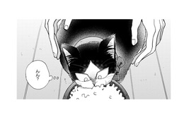 【猫視点】人間が首に何かつけてきた。なんだかやな感じ。だけど安心もする… まあいいか♪【同居人はひざ、時々、頭のうえ。 #62】 画像