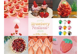 いちご好き必見！横浜で58万人動員の“いちごの祭典”大阪に再上陸 画像