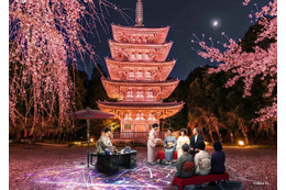 京都の世界遺産で夜桜アートイベント「醍醐花見」3月27日から 醍醐寺が光の桜絵巻に 画像