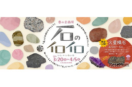 【春休み2026】「石のイロイロ」多摩六都科学館で3/20開幕、火星隕石の特別展示も