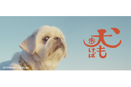 フォロワー18万人超えの人気犬が前野朋哉と共演、短編映画『犬も歩けば』YouTubeにて公開