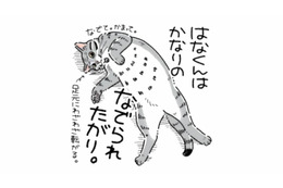 撫でられるのが大好きな猫。なで方をサボった瞬間…態度が急変!?【猫がおしりを向けてきます #３】