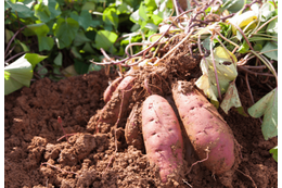 22歳の息子が泥だらけ！？70歳の祖母の“自慢げな様子”に⇒「言葉にできないほど幸せ」 画像