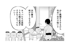 「人間は沢山美しいものを見られていいですな」と羨ましがるセミ。弟は何か思うところがあったみたい…【ウチの百鬼夜行 #30】 画像