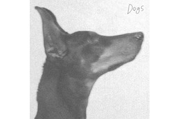 『九条の大罪』主題歌に起用された羊文学「Dogs」のアートワーク公開。初の全国ホールツアーも開催決定