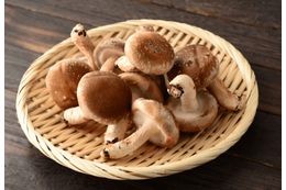 夏休みに「祖父のしいたけ栽培」を手伝った8歳の娘　思い出を綴った作文が”驚きのニュース”に「胸いっぱい」 画像