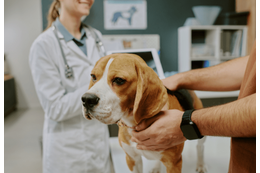 診察台を拒否する愛犬　獣医の“まさかの最終手段”に⇒豹変し「え！」「先生に感謝」 画像