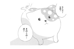 「妖怪？それとも妖精？」きのこの下から現れたのは、犬みたいな謎の生き物だった【きのこいぬ #２】