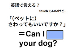 英語で「ペットに触ってもいいですか？」は何て言う？ 画像