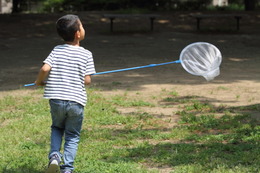 〔怒涛の中学受験〕偏差値より「セミの幼虫探し」ができる小学校生活を守った母の決断