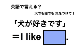 英語で「犬が好きです」は何て言う？