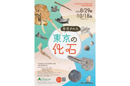 特別展「発見された東京の化石」日比谷図書文化館で8/29から