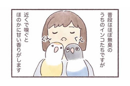 インコはどんなにおいがする？飼い主だけが知る、香りの変化【うちのインコたちは今日もおしゃべり #６】