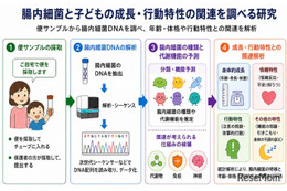 未就学児の腸内細菌、睡眠や情緒との関連を確認…金沢工業大・三重大
