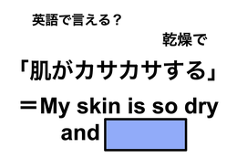英語で「肌がカサカサする」は何て言う？ 画像