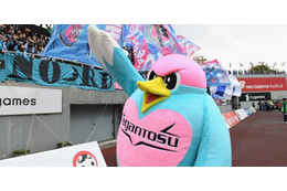 サガン鳥栖、新シーズンの背番号を発表！高橋祐治が3番、安在和樹は24番 画像