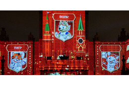 尊みがある…W杯開幕戦「予言猫」の選択はどっちだ？ 画像