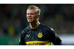 194の怪物ホーラン、「195cmのイブラヒモヴィッチ愛」を告白 画像