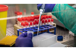 イタリア、新型コロナで4月3日まで全スポーツ中止　ただ、国際大会は参加可能 画像