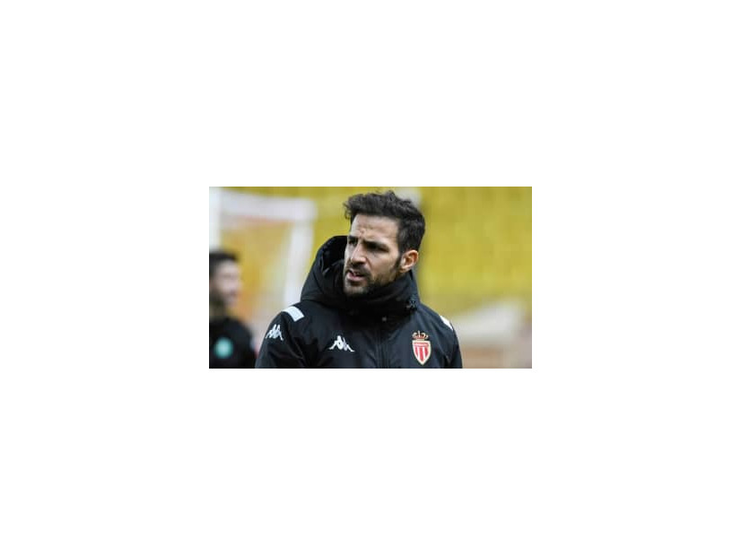 セスク 「人種差別ファンはバカ、刑務所行きにしろ」