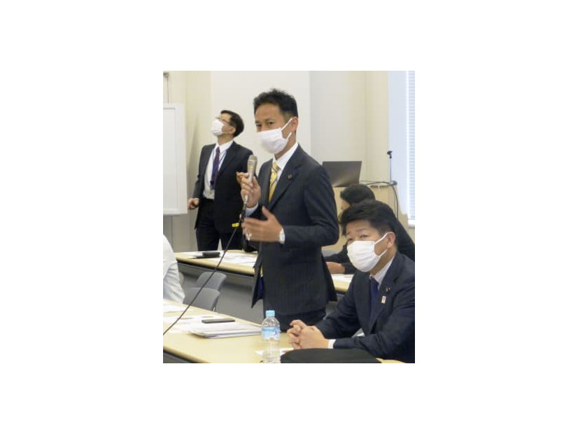 ウクライナ避難民支援に関する公明党の会合であいさつする谷合正明参院幹事長＝15日午後、国会