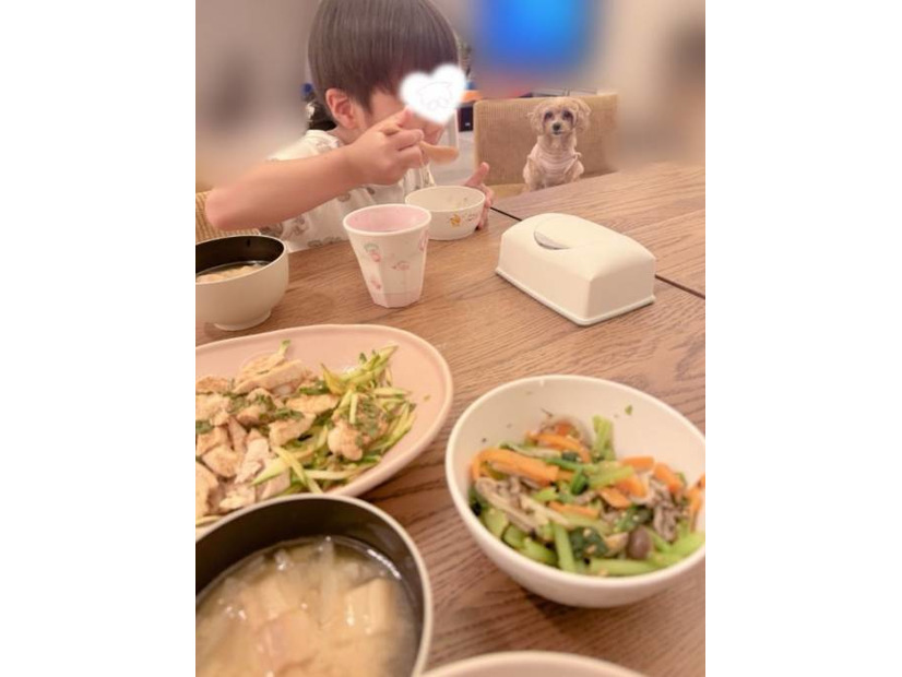 辻希美、夕食は手作り牛丼！息子の食事中SHOT公開「そして狙う犬 笑。」