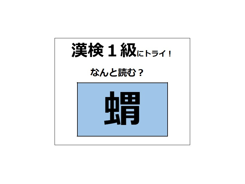 「蝟」の読み方、わかる？「蛸（たこ）」じゃないよ。とてもかわいらしい哺乳動物！【漢字クイズ】