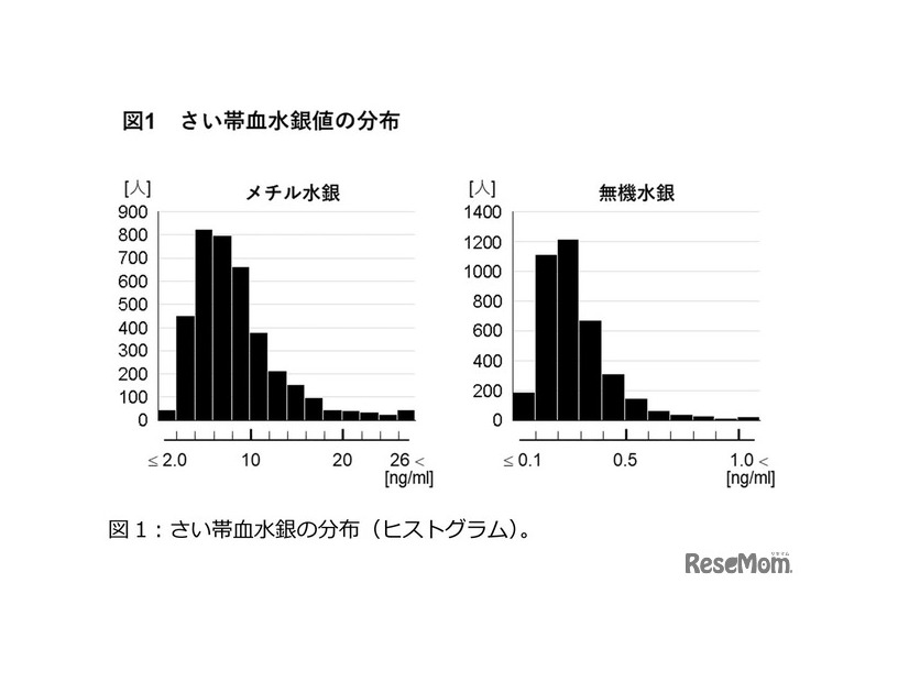 さい帯血水銀の分布（ヒストグラム）