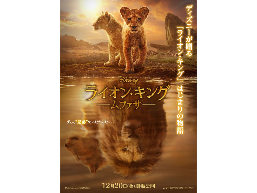 「ライオン・キング：ムファサ」ポスタービジュアル（C）2024 Disney Enterprises, Inc. All Rights Reserved.