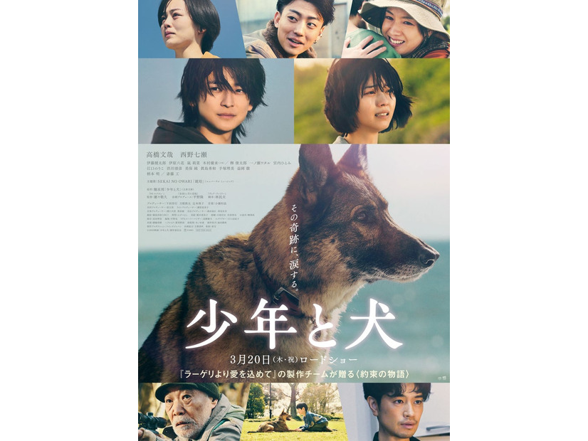 「少年と犬」本ポスタービジュアル（C）2025 映画「少年と犬」製作委員会