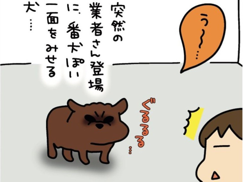 我が家の犬は、まるで「イキってる中学生」狂犬と見せかけて、実際は…【うちはおっぺけ 3姉妹といっしょ 10 #１】