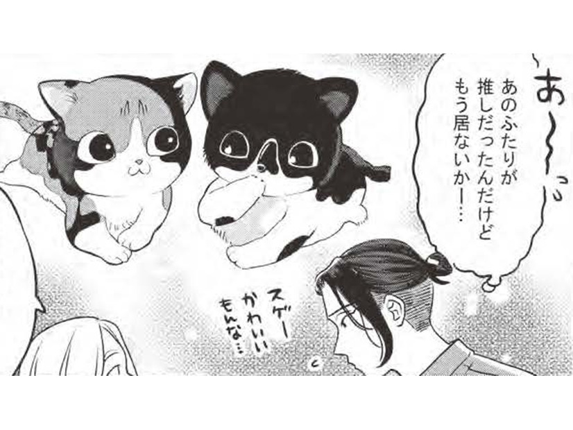子猫二匹との出会いが運命を変える？…貧乏作曲家、里親へ一歩前進？【借金1000万作曲家の人生を変えてくれた猫の話 #３】