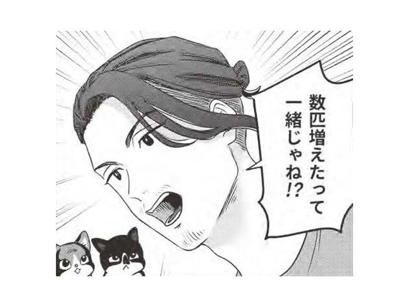 殺処分の猫を引き取りに？…猫愛が溢れすぎの男の運命に何が？【借金1000万作曲家の人生を変えてくれた猫の話 #６】