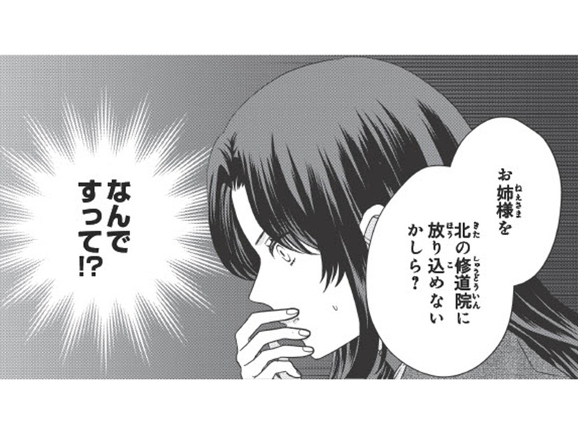「義姉のせいでいい縁談が来ない」そんな理由で修道院に？【双子王子の継母になりまして #３】