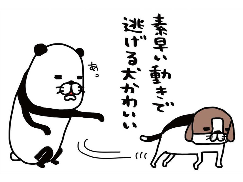 愛犬の鼻をよく観察してみると…マッシュルームの断面図みたい！【パンダと犬 ＃４】