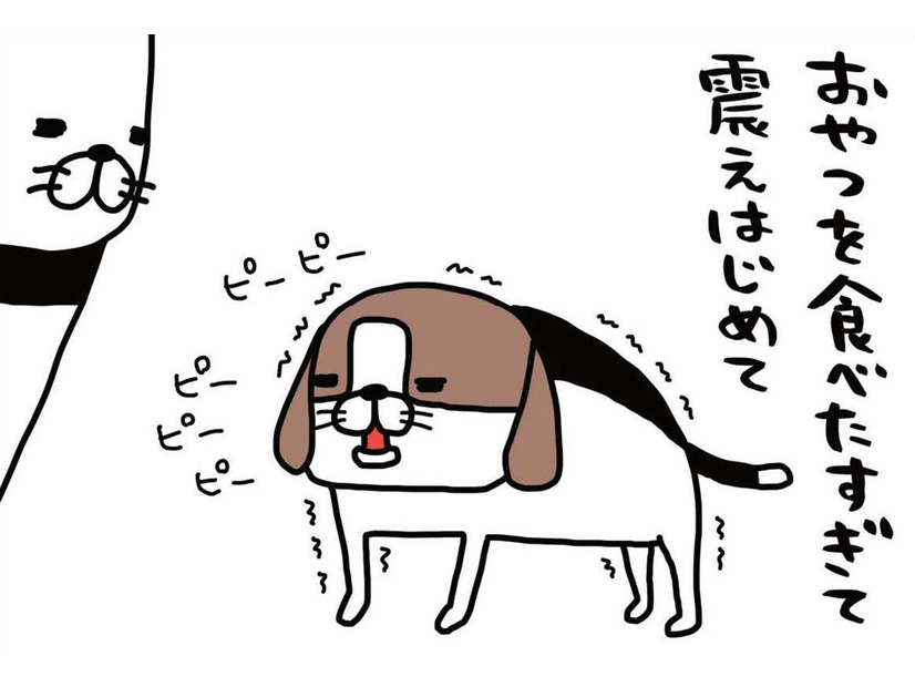 食いしん坊の愛犬・梅吉。「おやつを食べたすぎて」震え始めたその後に、まさかの…!!【パンダと犬 ＃５】