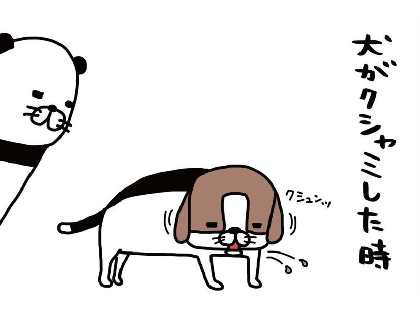 ジャーキーを食べる愛犬がかわいい思わず口に近づいてみると…【パンダと犬 ＃６】