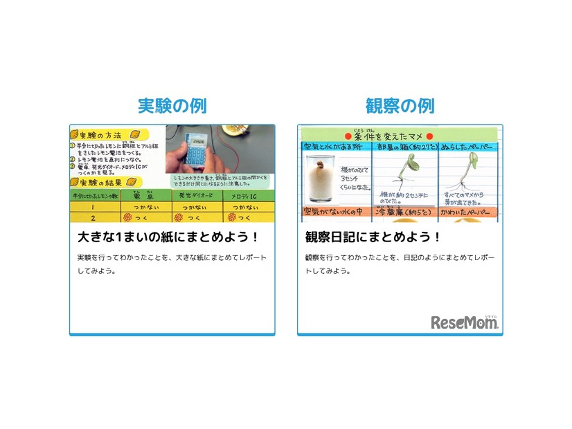 まとめ方のコツを徹底解説