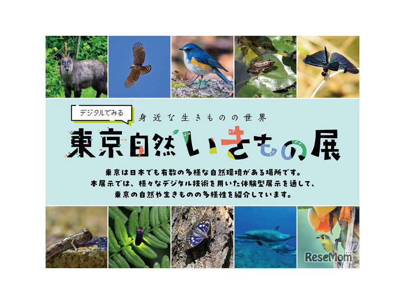 デジタルでみる東京自然いきもの展