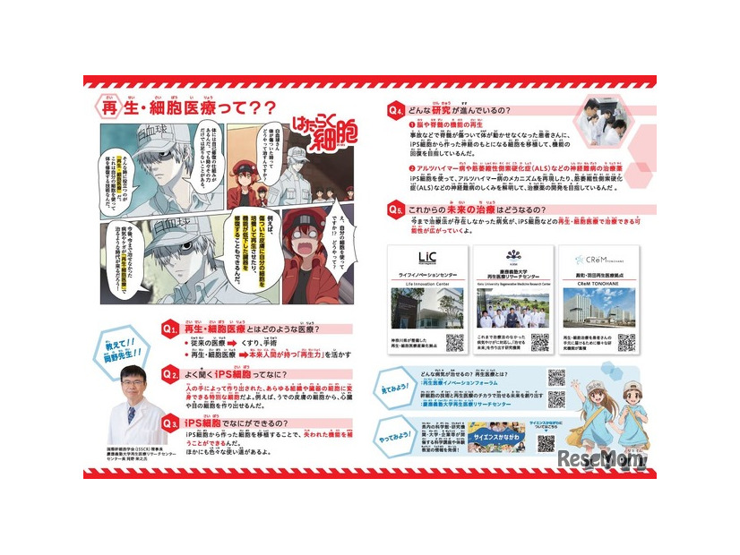リーフレット (c) 清水茜／講談社・アニプレックス・davidproduction