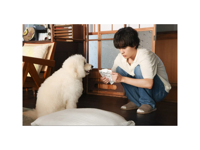 「初恋DOGs」第8話　©TBS