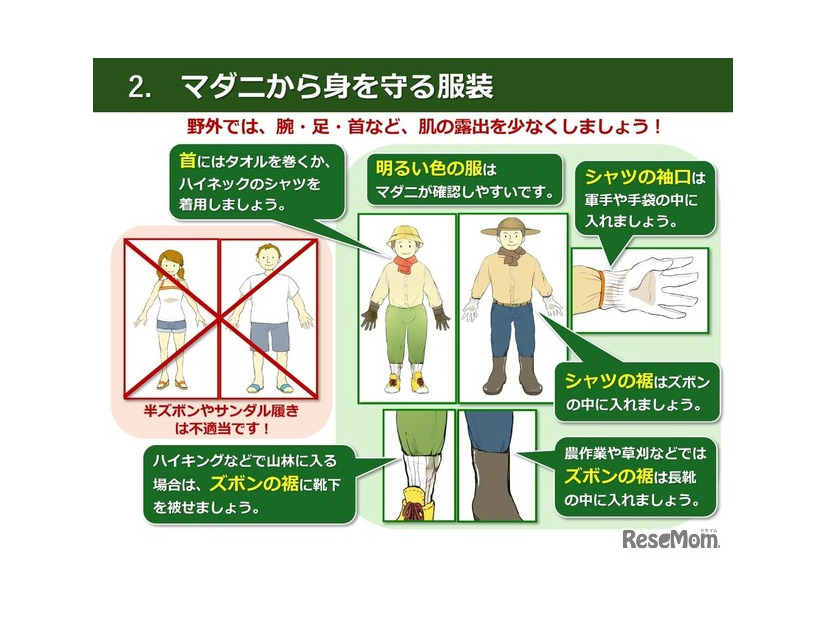 マダニから身を守る服装