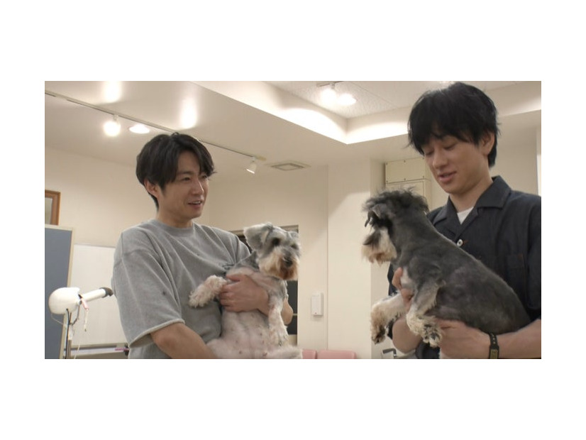 相葉雅紀、横山裕「嗚呼！！みんなの動物園」（C）日本テレビ