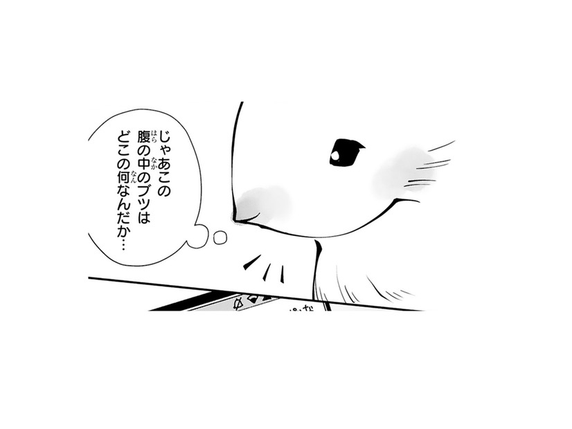 胃カメラ検査は異常なし…じゃあこのお腹にある違和感はいったい何⁉【末期ガンでも元気です #５】