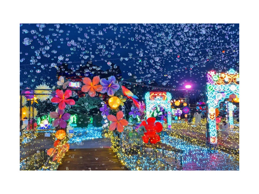 伊豆高原グランイルミ過去の様子／提供画像